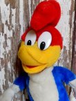 画像2: ct-150602-91 Woody Woodpecker / 80's-90's Plush Doll