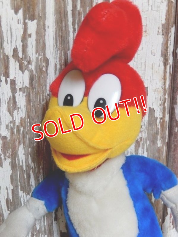 画像2: ct-150602-91 Woody Woodpecker / 80's-90's Plush Doll