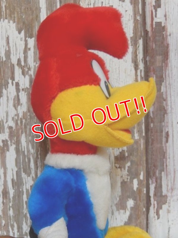 画像3: ct-150602-91 Woody Woodpecker / 80's-90's Plush Doll