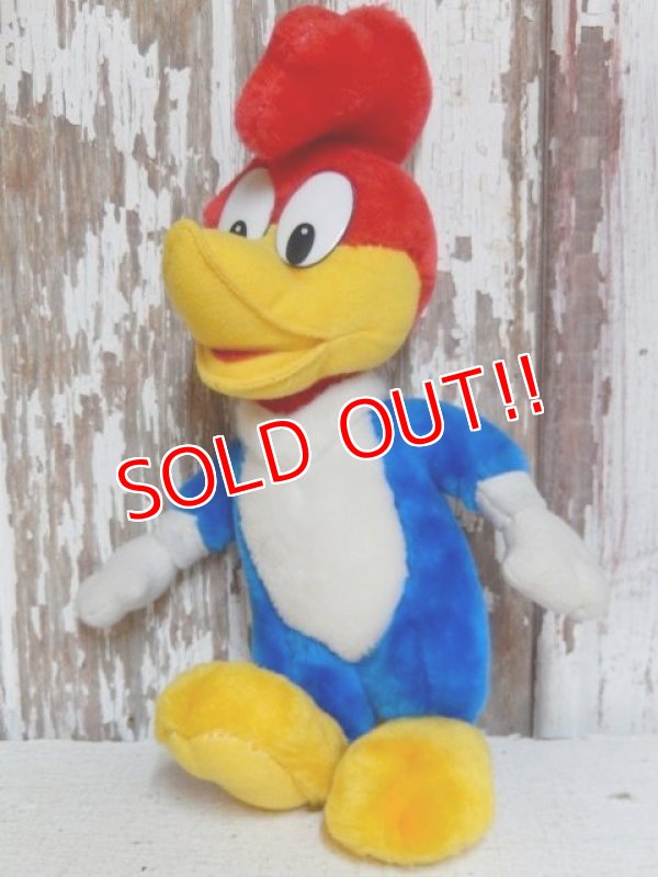 画像1: ct-150602-91 Woody Woodpecker / 80's-90's Plush Doll