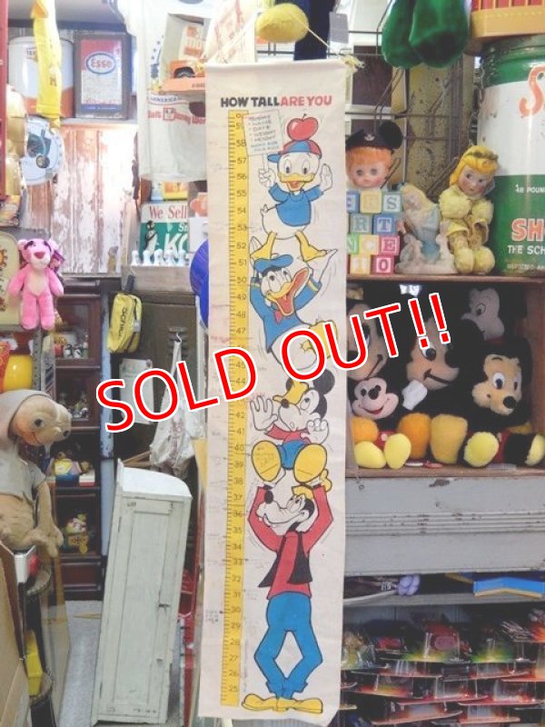 画像1: ct-150617-11 Walt Disney's / 60's How Tall Are You?