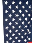 画像4: dp-150511-02 Flag of the United States 70's Two in One Bicentennial Flag Set