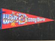 画像1: ct-150825-12 Walt Disney World / 80's-90's Pennant "BIG 5