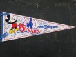 画像1: ct-150825-14 Mickey Mouse / Walt Disney World 15 years 80's Pennant