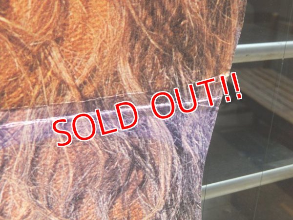 画像6: ct-150602-74 Chewbacca / 1995 Cardboard Display