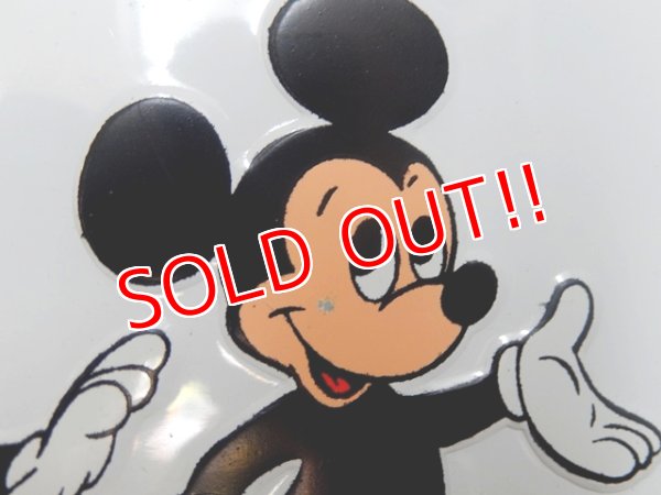 画像5: ct-150915-06 Walt Disney World / 80's License Plate