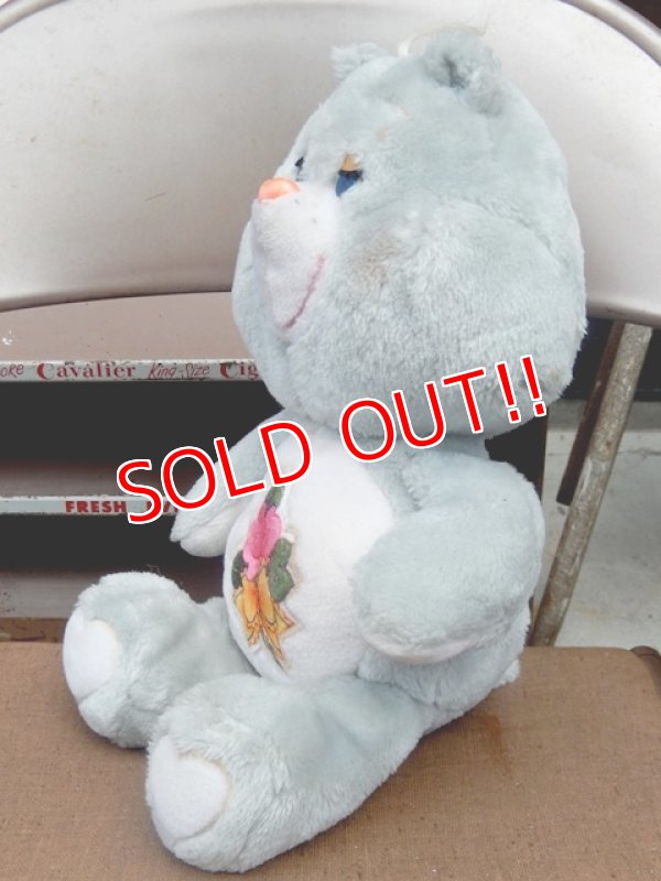 画像4: ct-150720-08 Care Bears / Grams Bear 80's Plush Doll