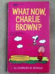 画像1: bk-131029-01 PEANUTS / 1972 Comic "WAHT NOW,CHARLIE BROWN?"