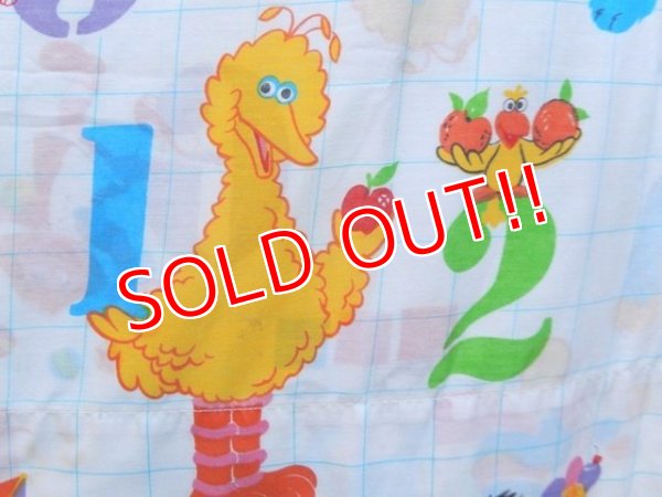 画像5: ct-150922-14 Sesame Street / Flat sheet (Twin size)
