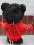 画像5: ct-151104-14 OHIO STATES / Bear Plush Doll