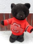 画像1: ct-151104-14 OHIO STATES / Bear Plush Doll