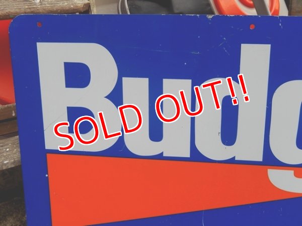 画像2: dp-151224-01 Budget / W-side Metal Sign