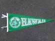画像1: dp-160203-05 College Pennant "HAWAII"