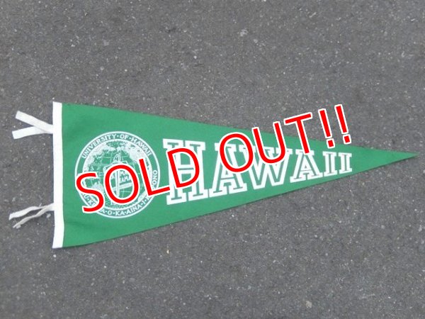 画像1: dp-160203-05 College Pennant "HAWAII"