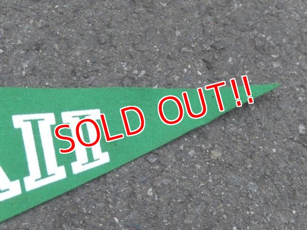 画像4: dp-160203-05 College Pennant "HAWAII"