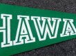 画像3: dp-160203-05 College Pennant "HAWAII"