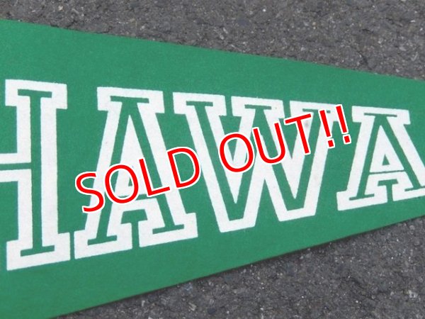 画像3: dp-160203-05 College Pennant "HAWAII"