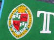 画像2: dp-160203-07 College Pennant "TULANE"