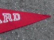 画像4: dp-160203-06 College Pennant "HARVARD"