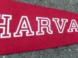 画像3: dp-160203-06 College Pennant "HARVARD"