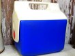 画像4: dp-162011-05 igloo / MiniMate Coolerbox