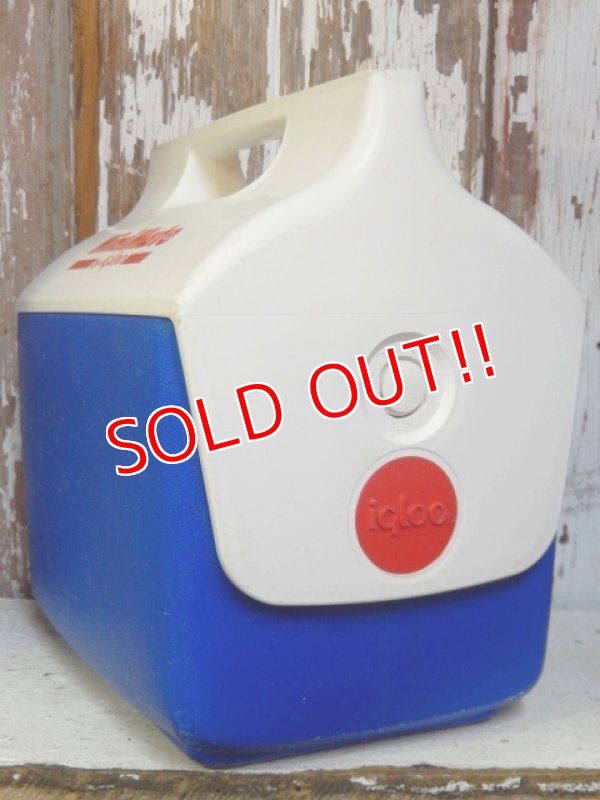 画像3: dp-162011-05 igloo / MiniMate Coolerbox