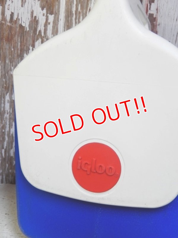 画像6: dp-162011-05 igloo / MiniMate Coolerbox