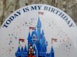 画像3: ct-160615-23 Disneyland / Today is My Birthday Pinback