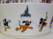 画像3: ct-160716-06 Walt Disney World / 70's Plastic Bowl