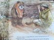 画像4: ct-150505-95 STAR WARS / 1983 "The Ewoks Join the Fight" Picture Book