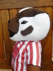 画像4: ct-170301-11 University of Wisconsin / 2011 Bucky Badger Doll