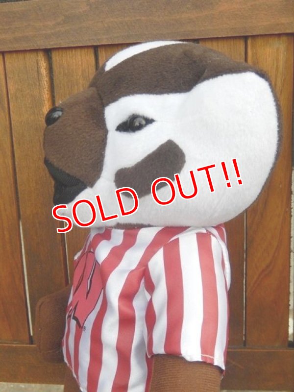 画像4: ct-170301-11 University of Wisconsin / 2011 Bucky Badger Doll