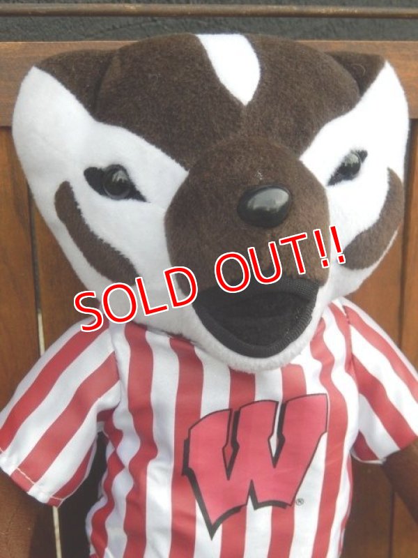 画像2: ct-170301-11 University of Wisconsin / 2011 Bucky Badger Doll