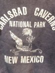 画像2: dp-170305-04 Vintage Kid's Sweat "Carlsbad Caverns National Park"