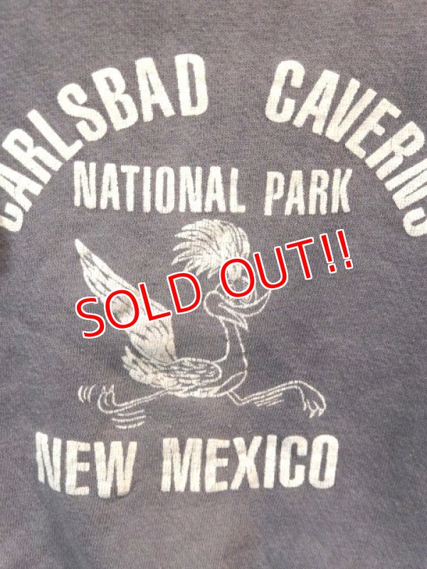 画像2: dp-170305-04 Vintage Kid's Sweat "Carlsbad Caverns National Park"