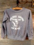 画像1: dp-170305-04 Vintage Kid's Sweat "Carlsbad Caverns National Park"