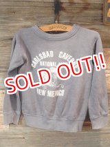 画像: dp-170305-04 Vintage Kid's Sweat "Carlsbad Caverns National Park"