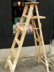 画像3: dp-170402-06 Vintage Wood Ladder