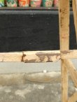 画像6: dp-170402-06 Vintage Wood Ladder