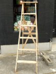 画像1: dp-170402-06 Vintage Wood Ladder