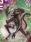 画像2: ct-170501-26 Aliens / Kenner 1998 Acid Alien