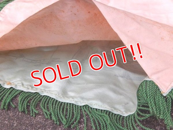 画像11: dp-170422-24 Lincoln Air Base / U.S.ARMY AIR FORCE 40's-50's Cushion