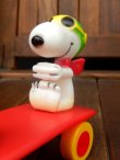 画像4: ct-170511-17 Snoopy & Woodstock / AVIVA 1970's Skateboard