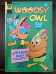 画像1: bk-170511-15 Woodsy Owl / Whitman 1974 Comic