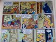 画像4: bk-170511-02 Donald Duck /  1970's Belgium Comic