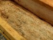 画像10: dp-170511-18 Vintage Wood Tool Box