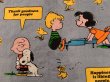 画像3: ct-170601-12 PEANUTS / 1970's Flat Sheet (Twin)