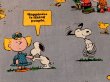 画像5: ct-170601-12 PEANUTS / 1970's Flat Sheet (Twin)