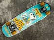 画像5: ct-170601-08 Joe Cool / 1970's Skateboard