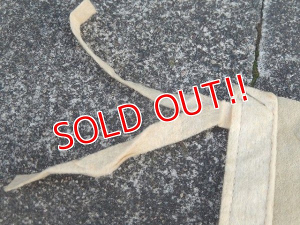 画像5: ct-170601-02 Disneyland / Vintage Pennant